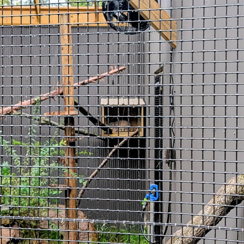 A photograph of Kasper in Elmwood Park Zoo