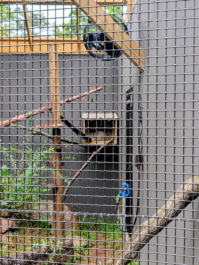 A photograph of Kasper in Elmwood Park Zoo