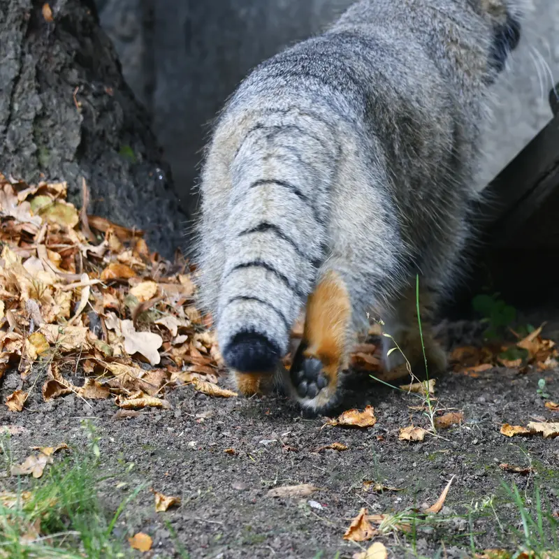A photograph of Timofey in Moscow zoo