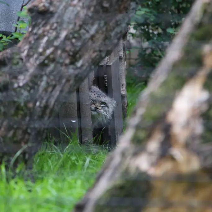 A photograph of Jessie in Warsaw Zoo