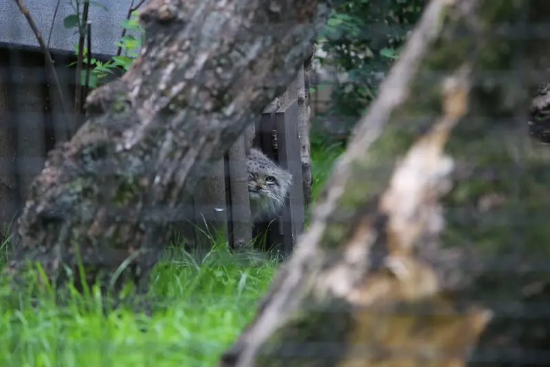 A photograph of Jessie in Warsaw Zoo