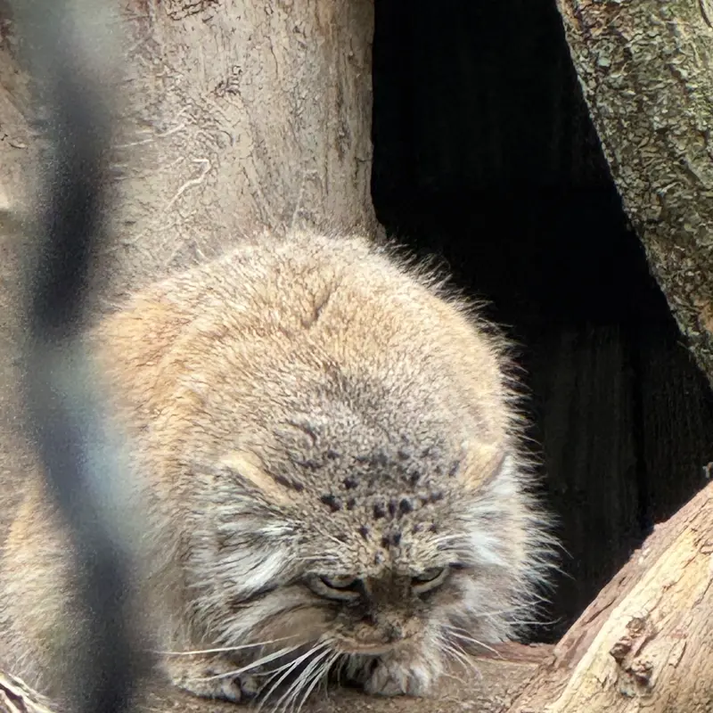 A photograph of Jessie in Warsaw Zoo