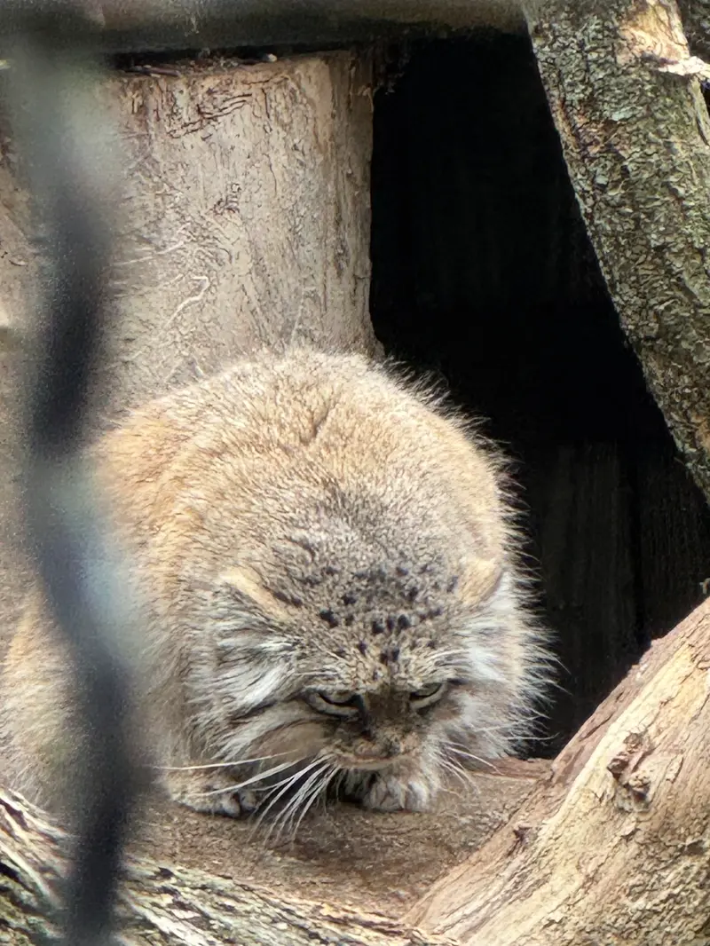 A photograph of Jessie in Warsaw Zoo