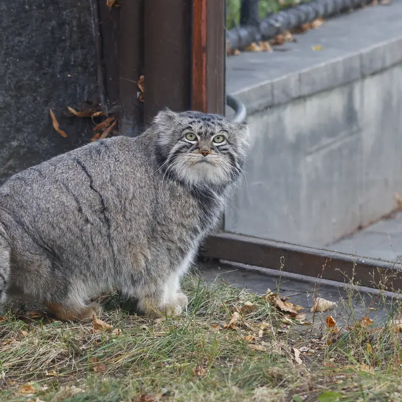 A photograph of Timofey in Moscow zoo