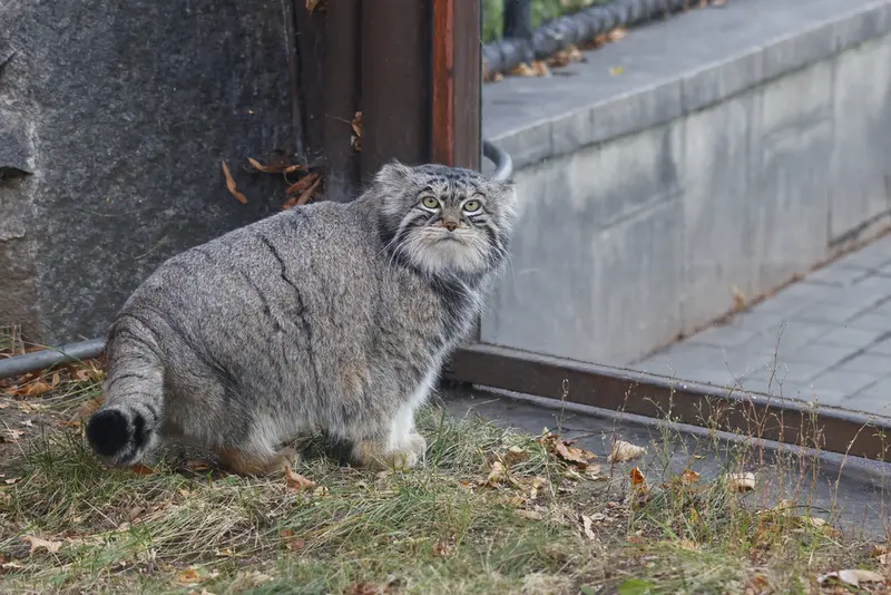 A photograph of Timofey in Moscow zoo