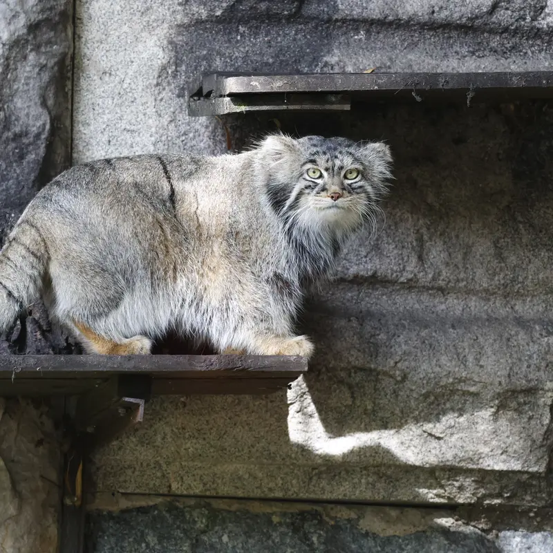 A photograph of Timofey in Moscow zoo