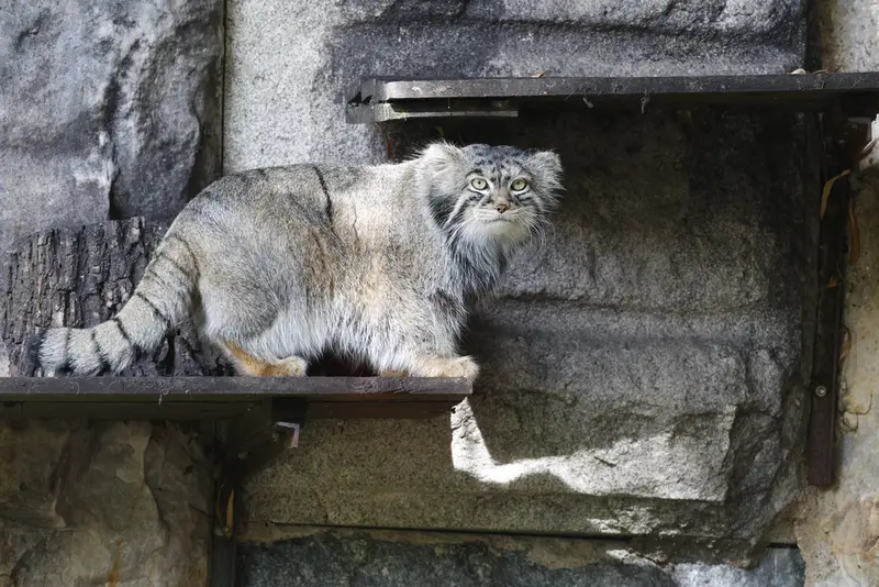 A photograph of Timofey in Moscow zoo