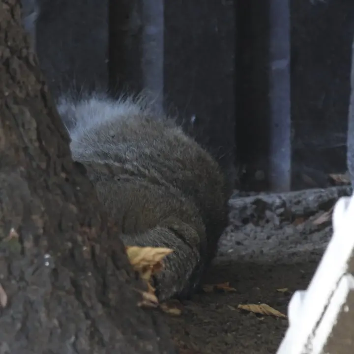 A photograph of Timofey in Moscow zoo