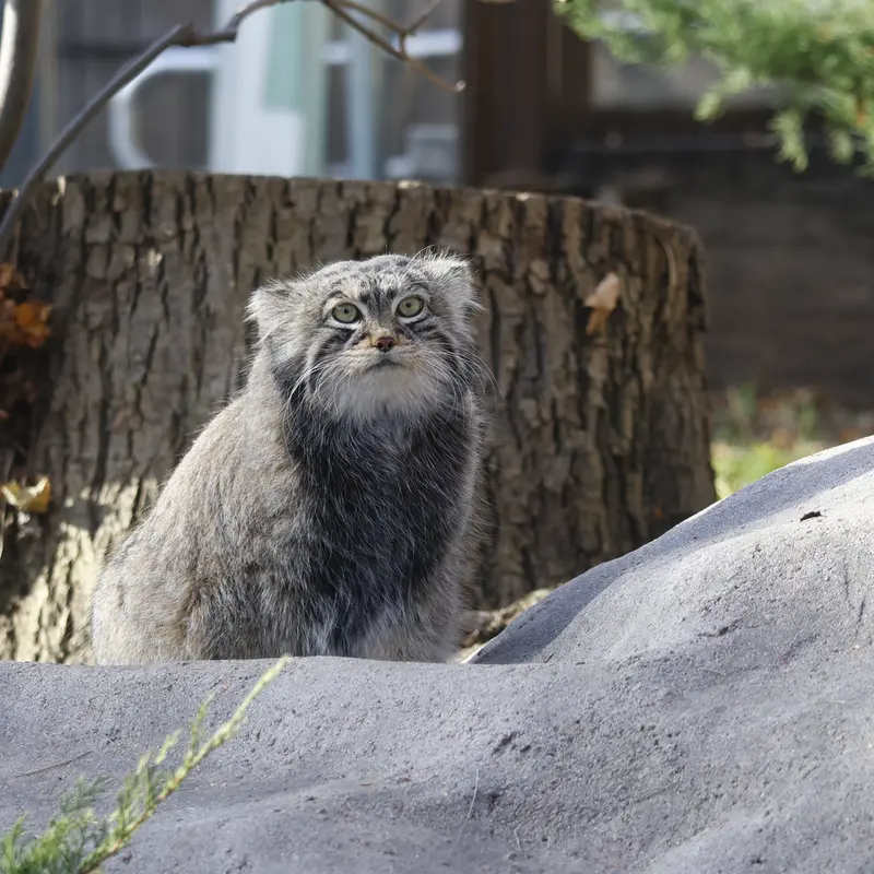 A photograph of Timofey in Moscow zoo