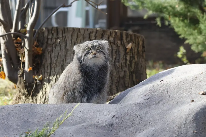 A photograph of Timofey in Moscow zoo