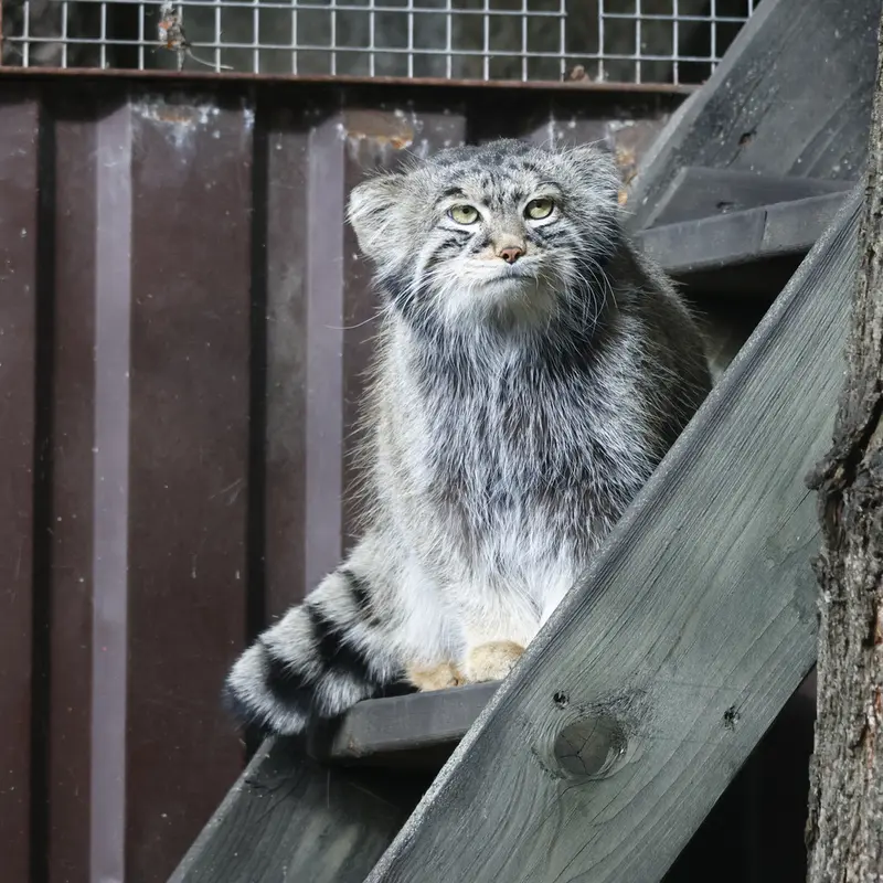 A photograph of Timofey in Moscow zoo