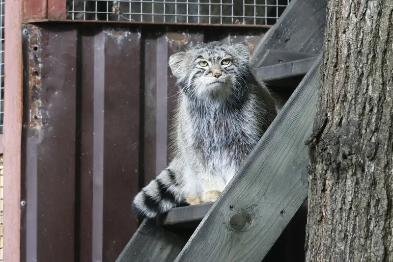 A photograph of Timofey in Moscow zoo
