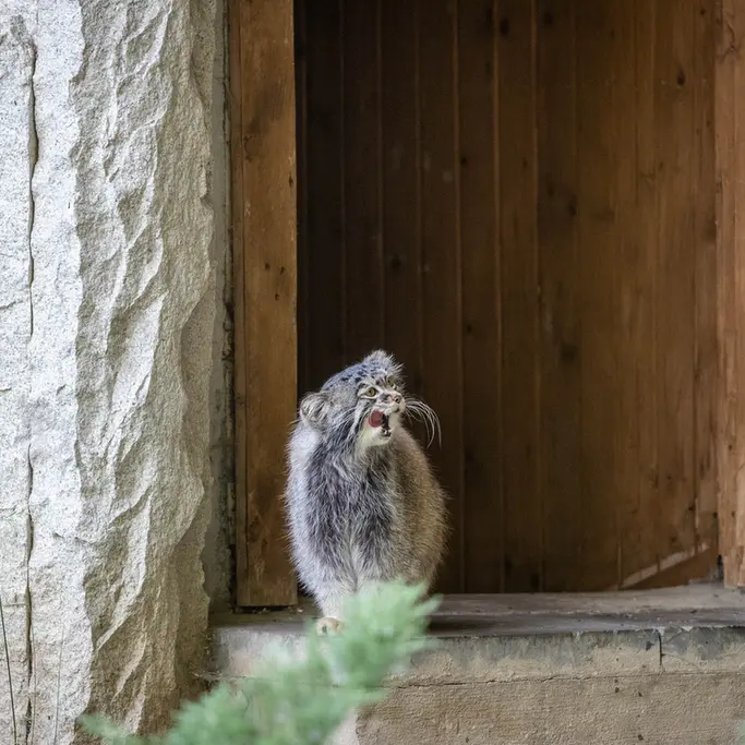 A photograph of Timofey in Moscow zoo