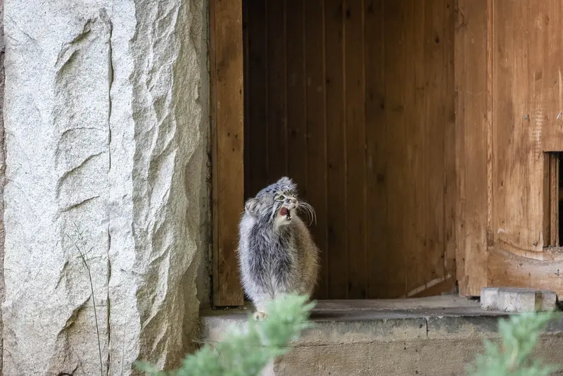 A photograph of Timofey in Moscow zoo