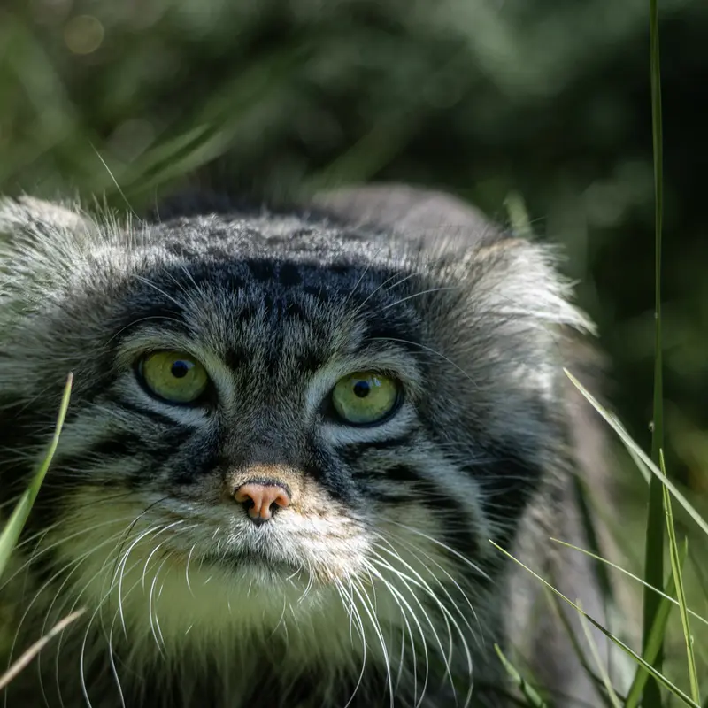 A photograph of Timofey in Moscow zoo