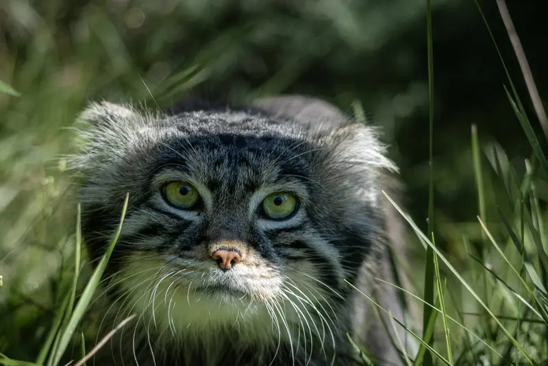 A photograph of Timofey in Moscow zoo