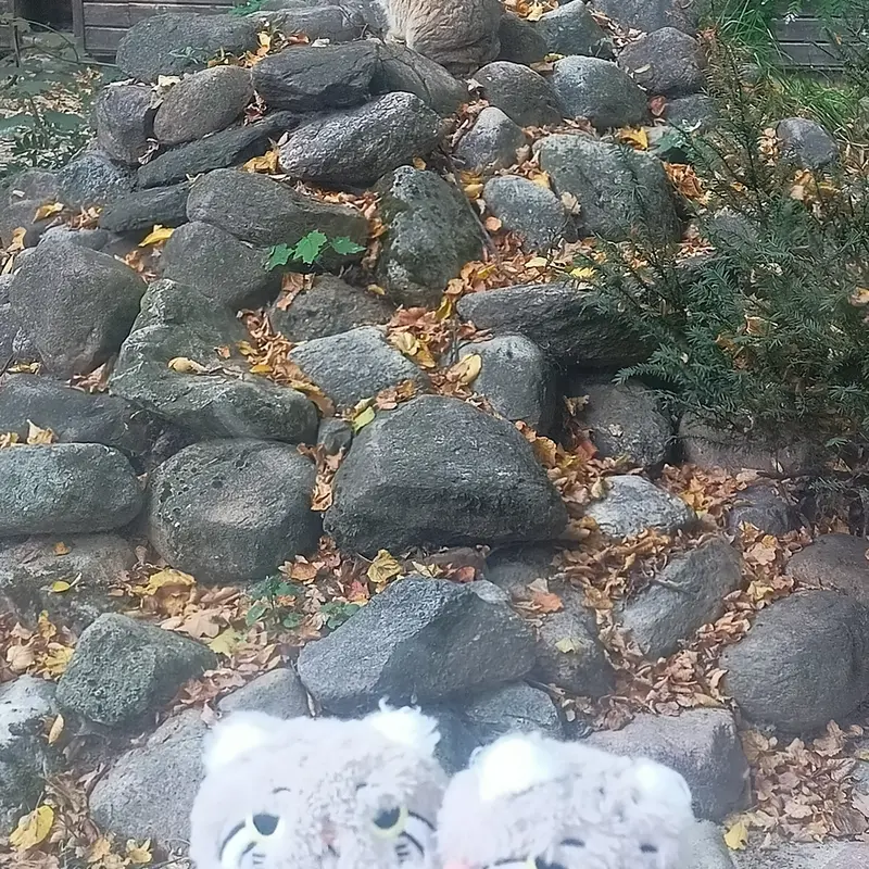 A photograph of Bozenka in Poznan New Zoo