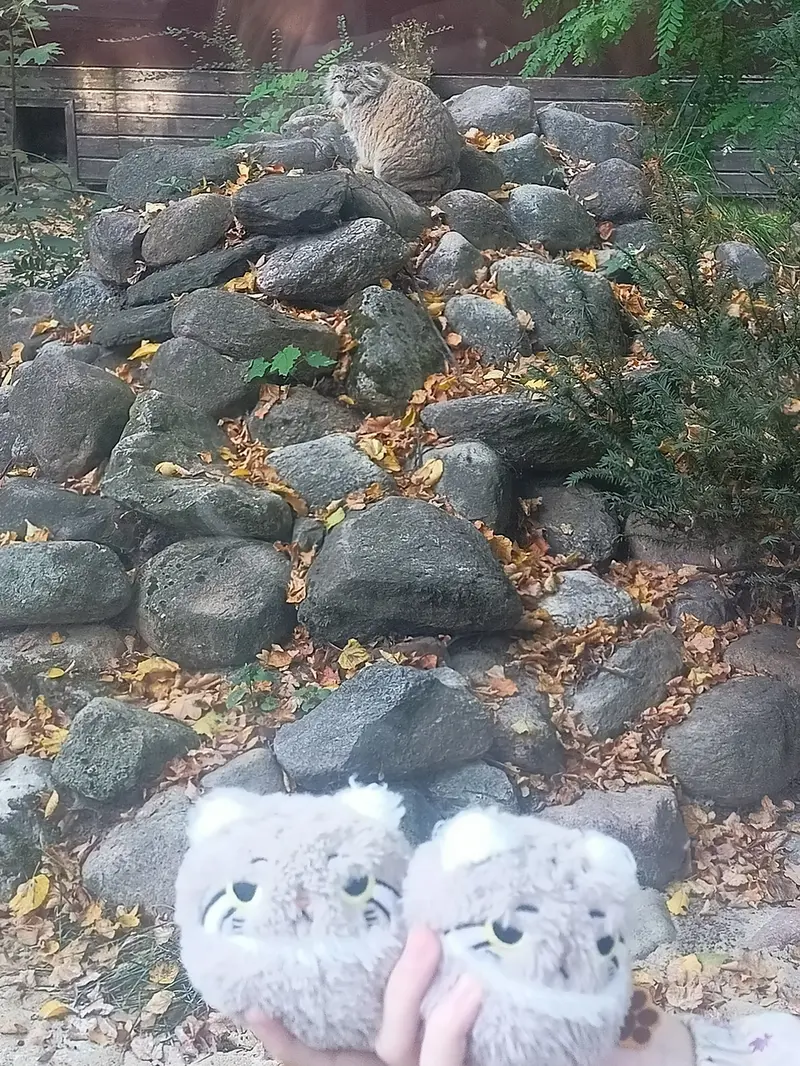 A photograph of Bozenka in Poznan New Zoo