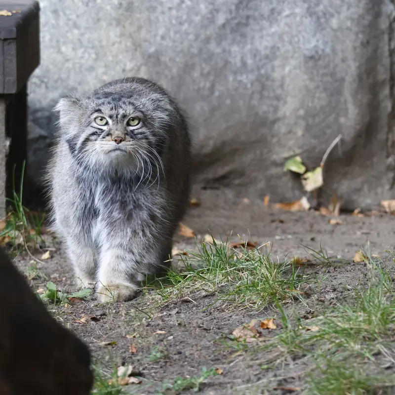 A photograph of Timofey in Moscow zoo