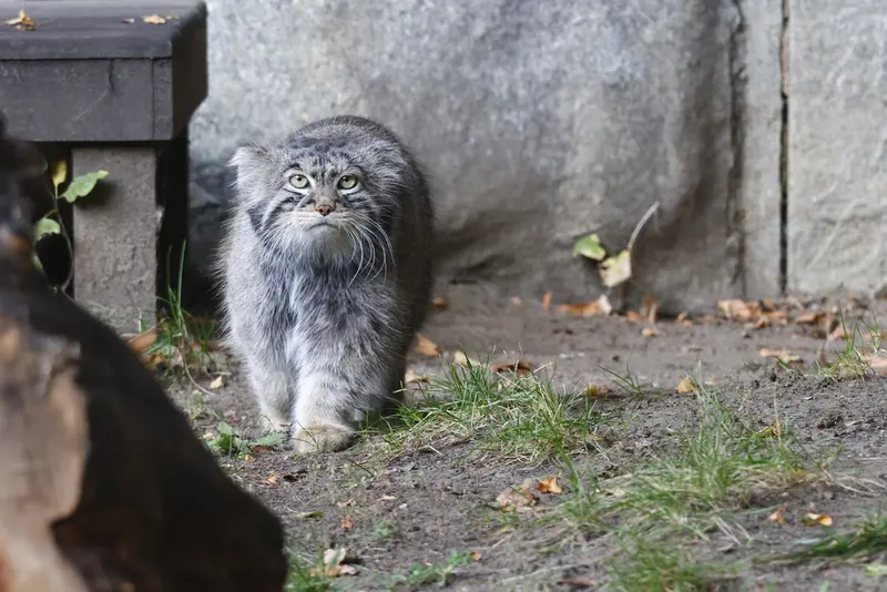 A photograph of Timofey in Moscow zoo