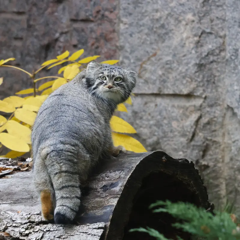 A photograph of Timofey in Moscow zoo