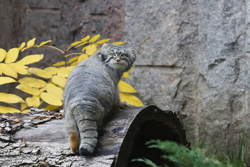 A photograph of Timofey in Moscow zoo