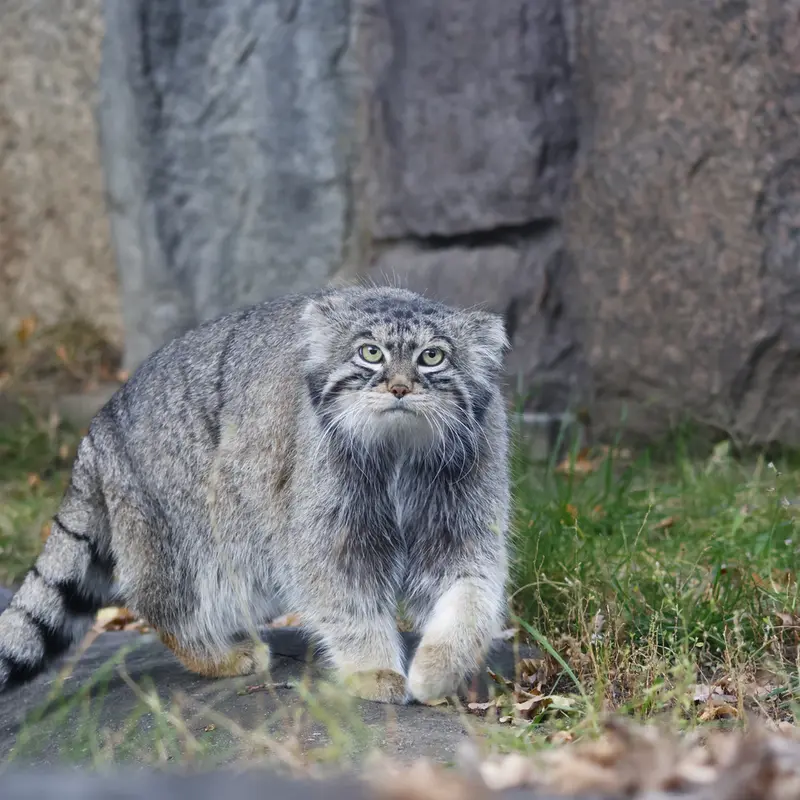 A photograph of Timofey in Moscow zoo