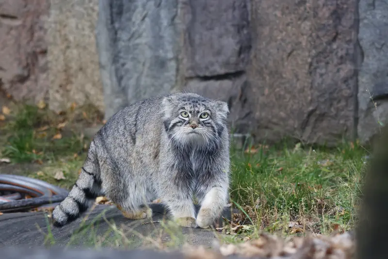 A photograph of Timofey in Moscow zoo
