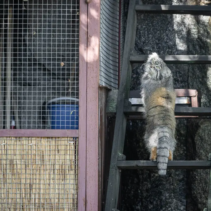 A photograph of Timofey in Moscow zoo