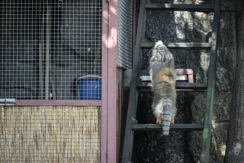 A photograph of Timofey in Moscow zoo