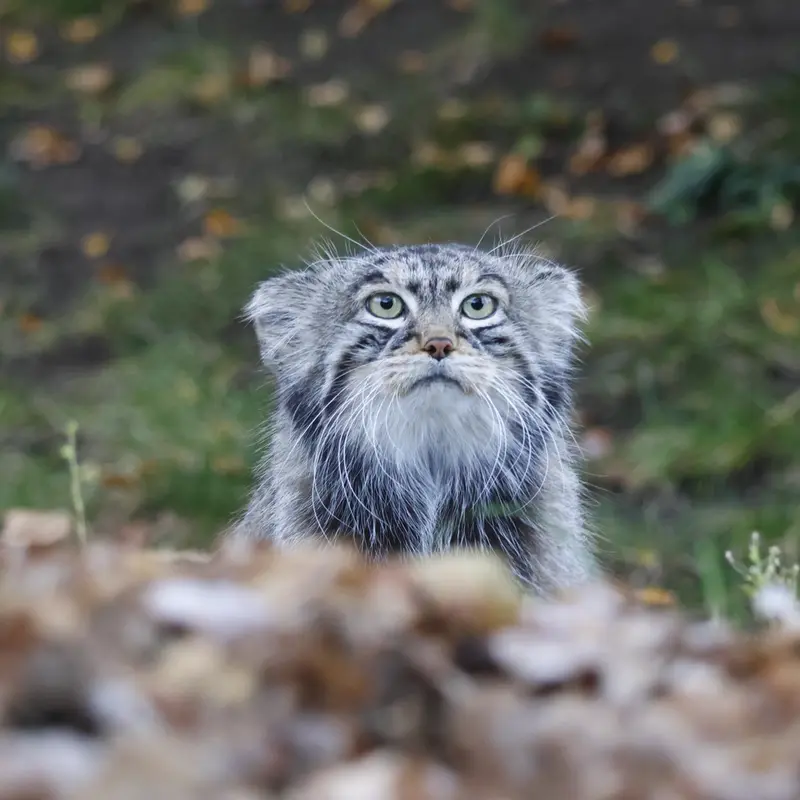 A photograph of Timofey in Moscow zoo