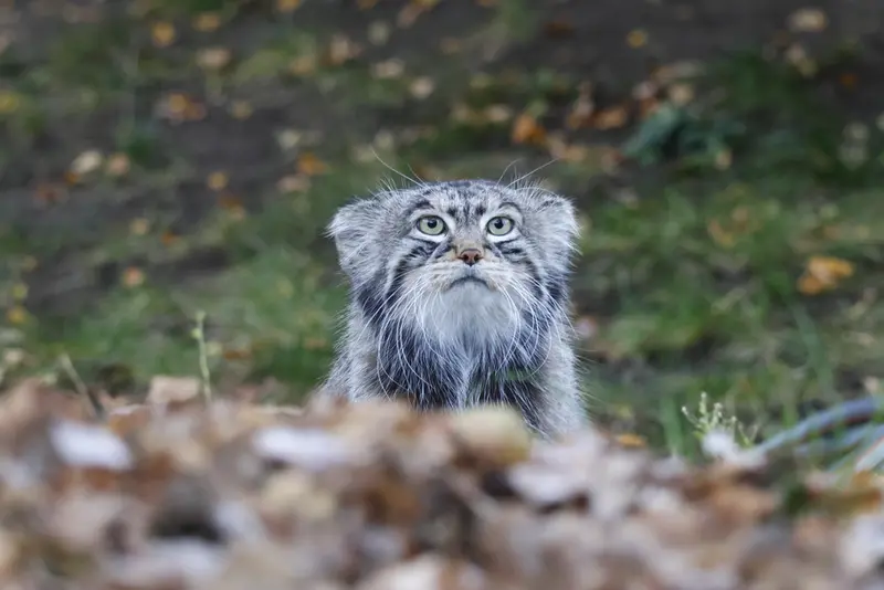 A photograph of Timofey in Moscow zoo