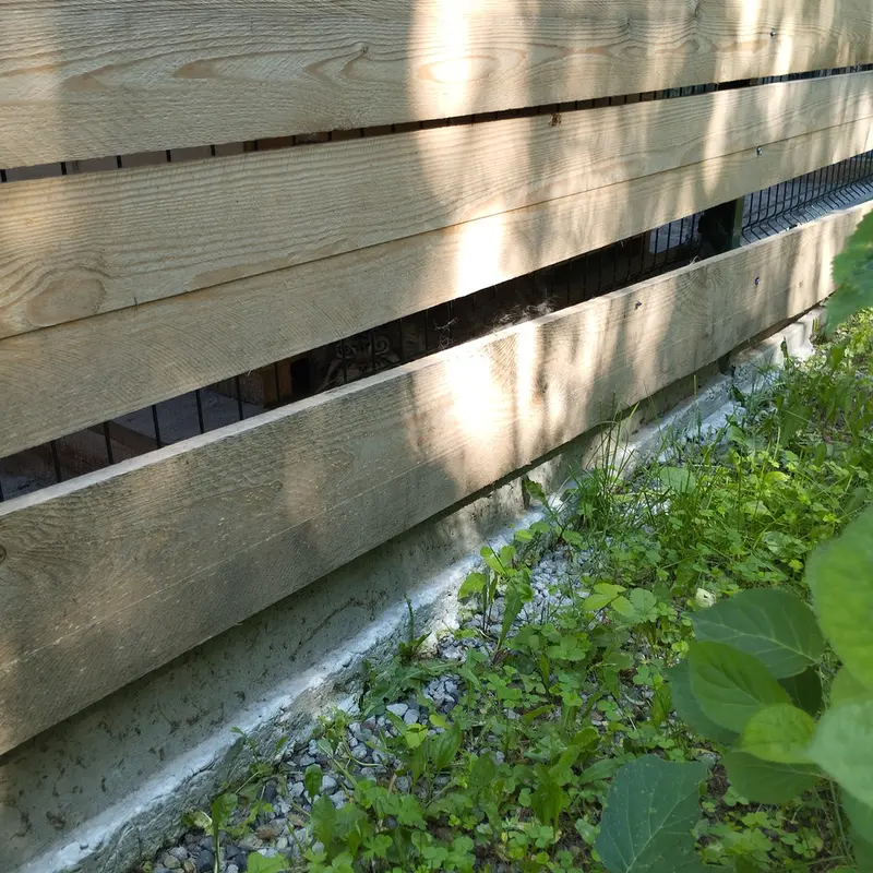 A photograph of Chip in Barnaul zoo “Lesnaya skazka”