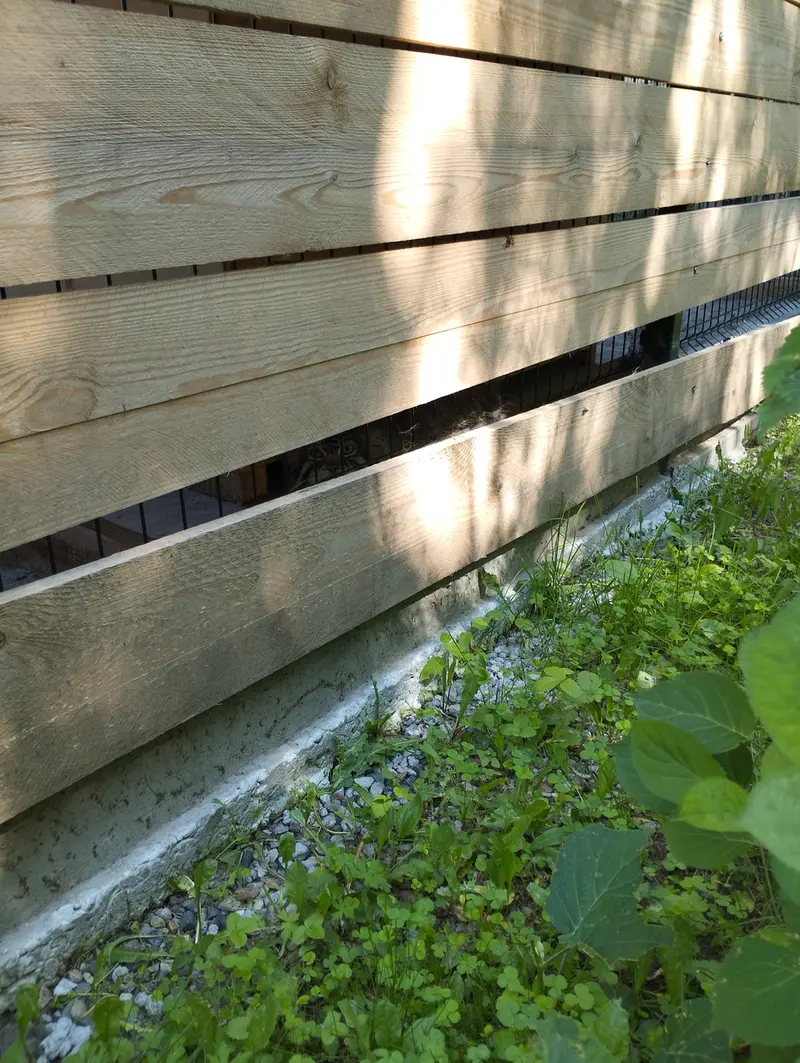 A photograph of Chip in Barnaul zoo “Lesnaya skazka”