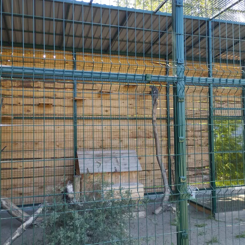 A photograph of Pepe in Barnaul zoo “Lesnaya skazka”