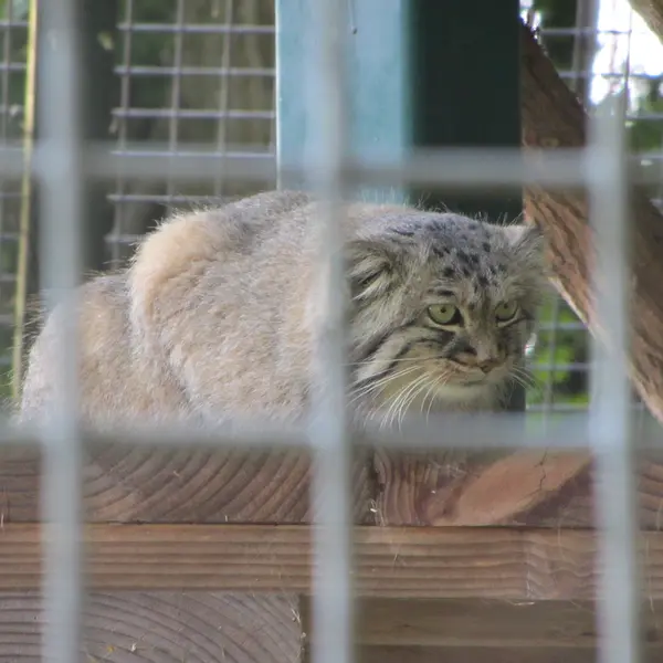 A photograph of Karl-Heinz in Saarbrücken Zoo