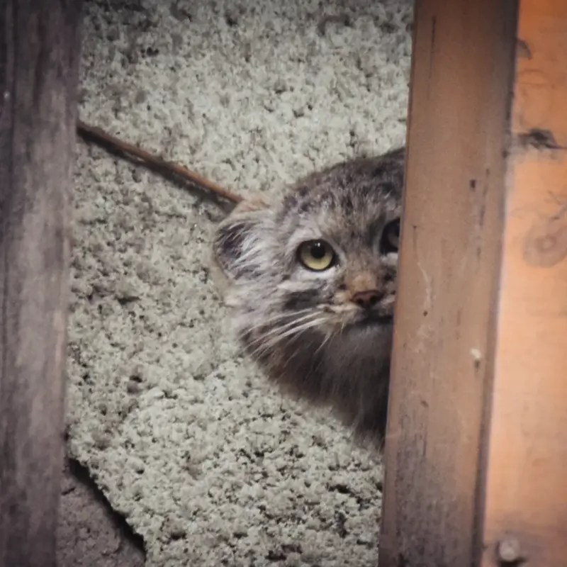 A photograph of Lucy in Budapest Zoo & Botanical Garden
