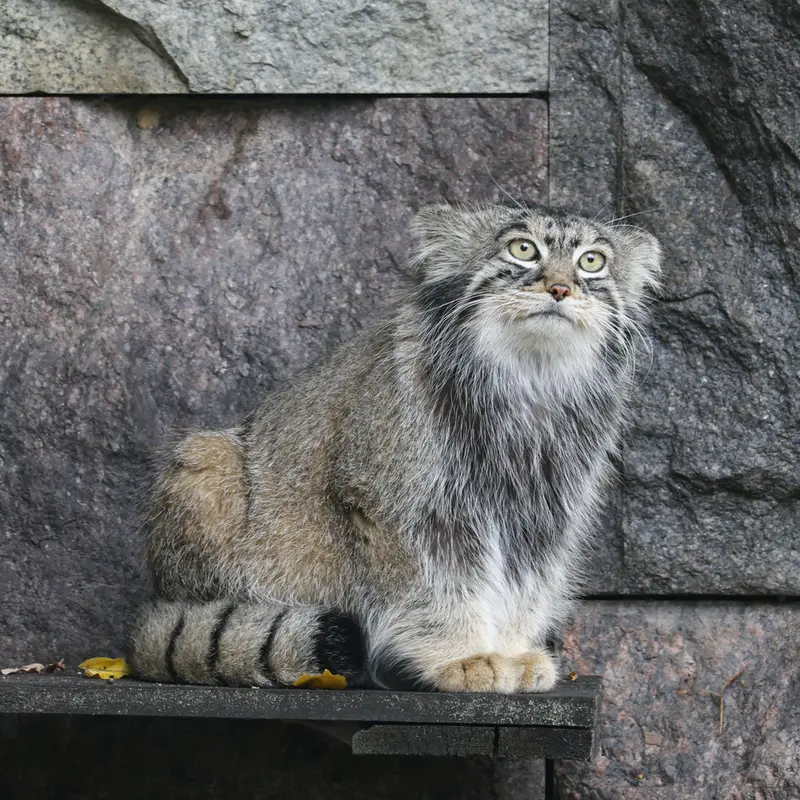 A photograph of Timofey in Moscow zoo