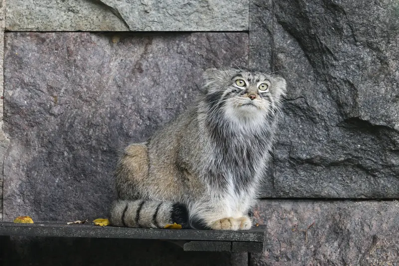 A photograph of Timofey in Moscow zoo