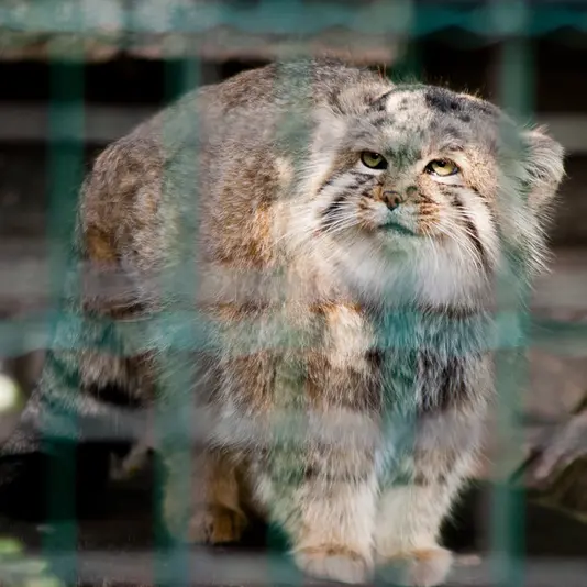 A photograph of Jonathan in Magdeburg Zoo