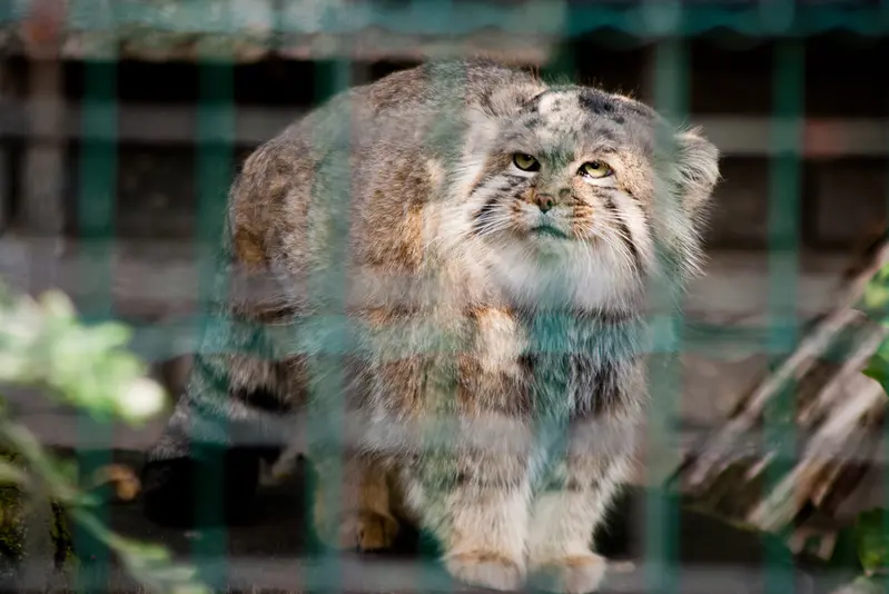 A photograph of Jonathan in Magdeburg Zoo