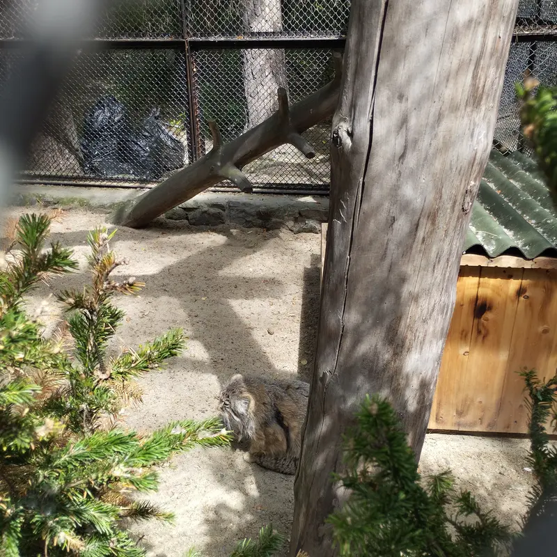 A photograph of Zelenogorsk in Novosibirsk Zoo