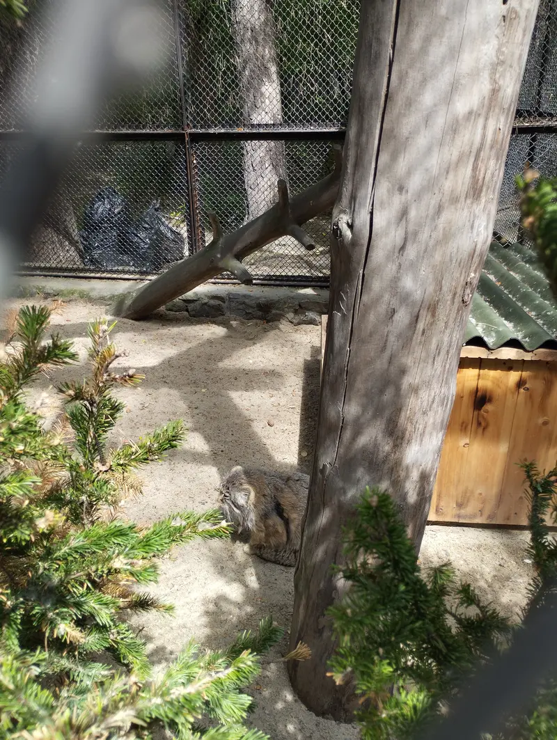 A photograph of Zelenogorsk in Novosibirsk Zoo