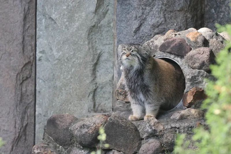 A photograph of Timofey in Moscow zoo