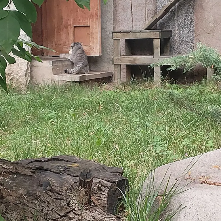 A photograph of Timofey in Moscow zoo