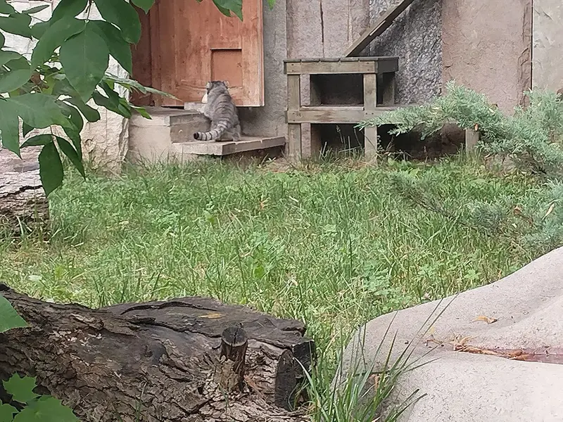 A photograph of Timofey in Moscow zoo