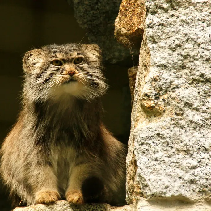 A photograph of Bob in Chemnitz Zoo