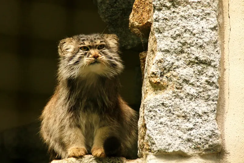 A photograph of Bob in Chemnitz Zoo