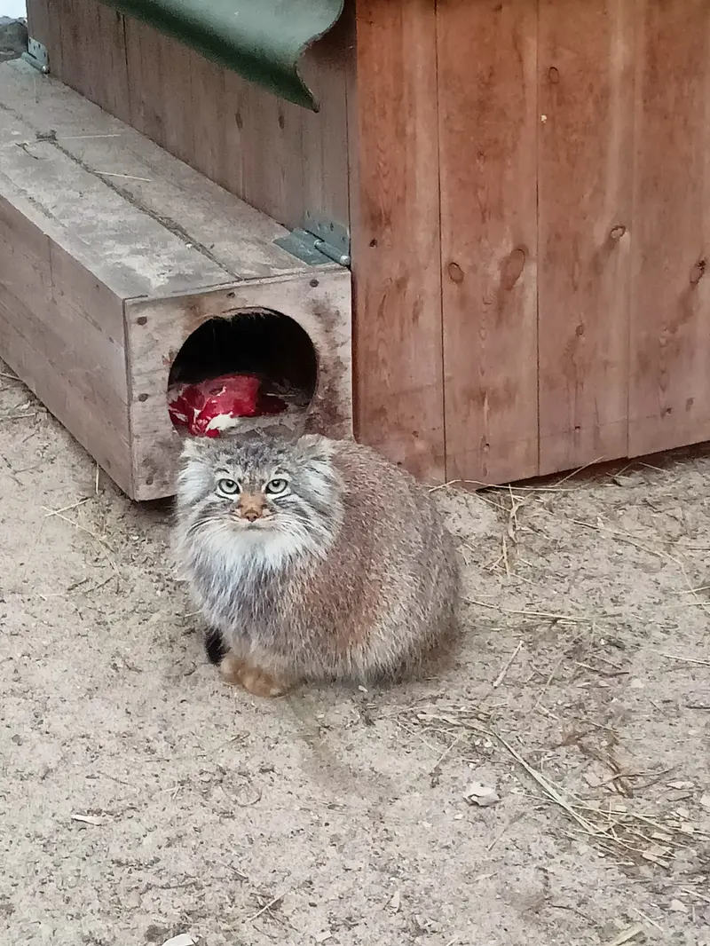 A photograph of Gabi in Novosibirsk Zoo