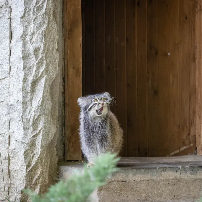 A photograph of Timofey in Moscow zoo